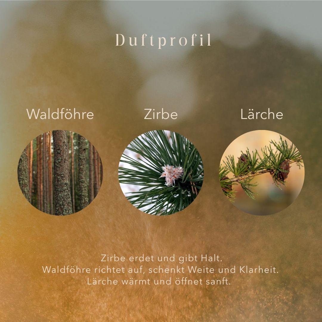 Immerwald – Duftkerze für schwere Momente mit Holzdeckel