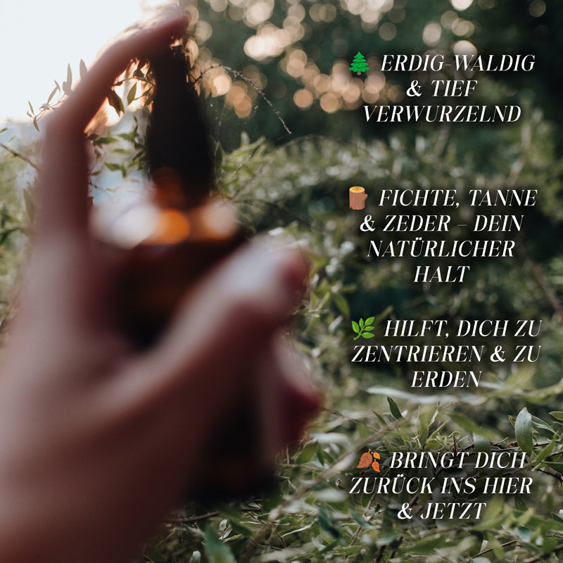 Die Innerlicht-Kollektion – Vier Aurasprays zum Vorteilspreis