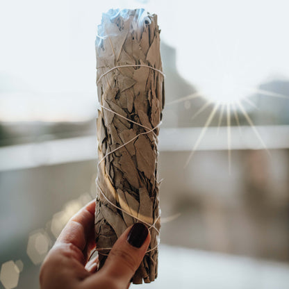 Salbei Smudge Stick – Räucherbündel weißer Salbei für Reinigung &amp; Klarheit